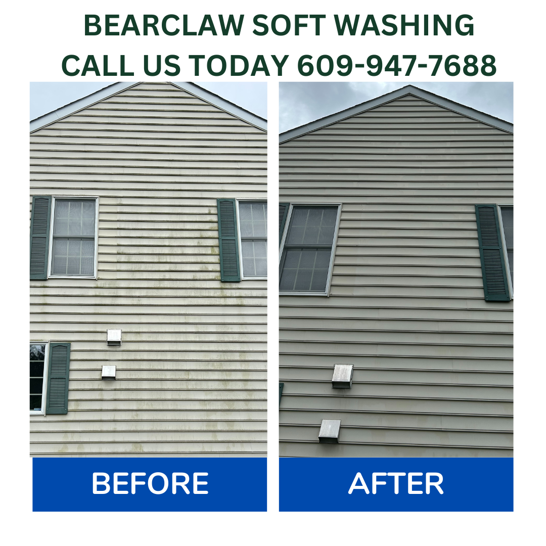 House Soft Washing Success in Princeton, NJ: Tackling Mold the Right Way with BearClaw Power Washing